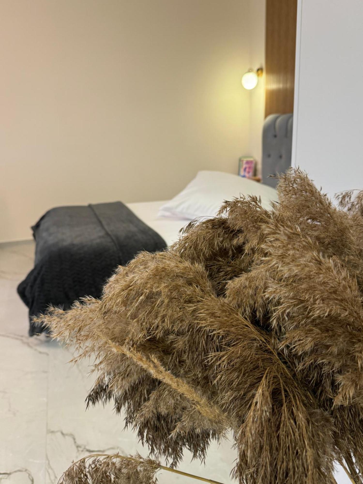 Baltic Avenue Apartman Klaipėda Kültér fotó